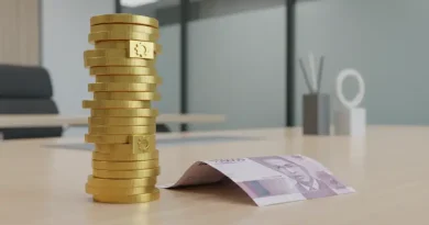 Ilustrasi Dividen Tunai untuk Stapo.id