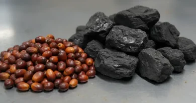 Ilustrasi pertumbuhan ekonomi Indonesia untuk Stapo.id