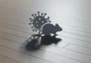 Ilustrasi Ancaman Hantavirus untuk Stapo.id