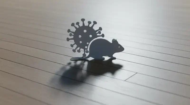 Ilustrasi Ancaman Hantavirus untuk Stapo.id