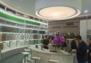 Pilihan motif dan tekstur keramik modern untuk interior dan eksterior rumah.
