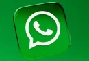 Ilustrasi Widget WhatsApp Android untuk Stapo.id