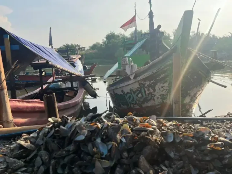 Ilustrasi produk konstruksi dari Limbah cangkang kerang untuk Stapo.id
