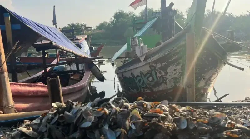 Ilustrasi produk konstruksi dari Limbah cangkang kerang untuk Stapo.id