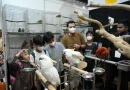 Aktivitas pet-friendly di pameran hewan peliharaan