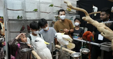 Ragam Aktivitas Pet-Friendly Tarik Antusiasme Pengunjung Aktivitas pet-friendly di pameran hewan peliharaan