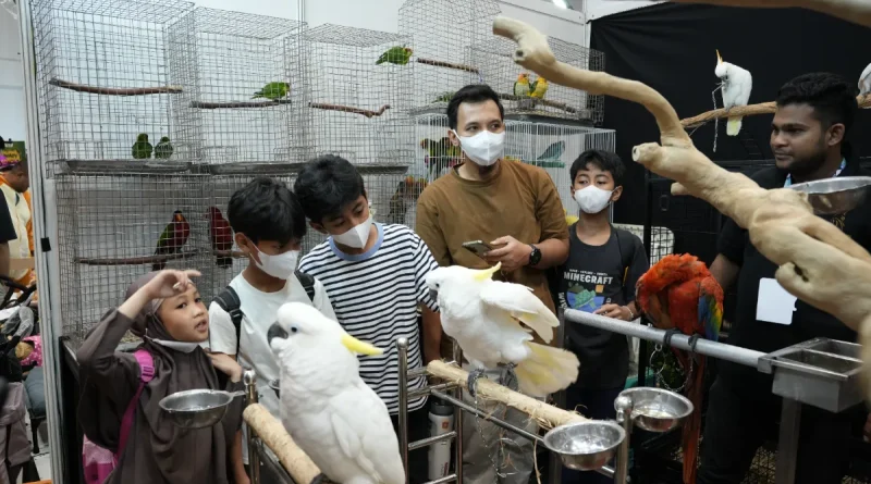 Aktivitas pet-friendly di pameran hewan peliharaan
