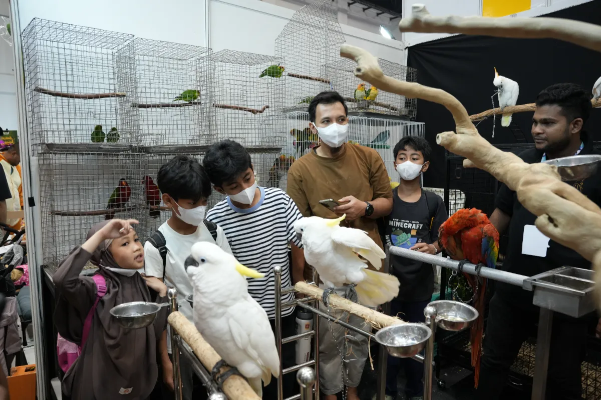 Aktivitas pet-friendly di pameran hewan peliharaan