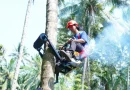 Teknologi Mocits ITS alat panjat pohon kelapa