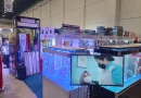 Ilustrasi Pet Show Jakarta untuk Stapo.id