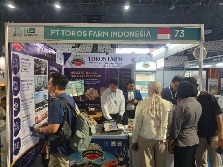 Ilustrasi daging premium halal untuk Stapo.id