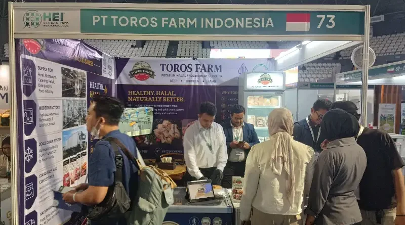Ilustrasi daging premium halal untuk Stapo.id