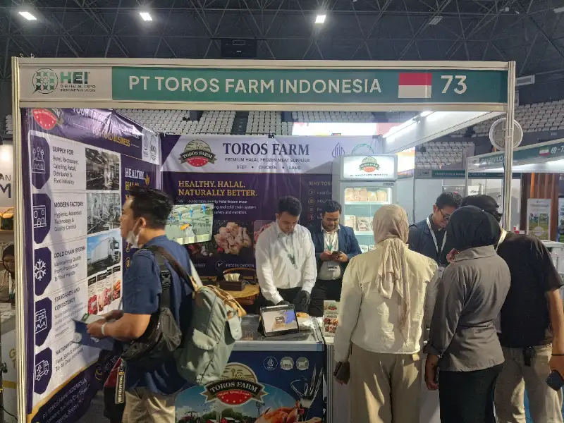 Ilustrasi daging premium halal untuk Stapo.id