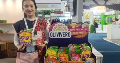 Gaya Hidup Sehat Olivivero Dukung Enam Poin SDGs Ilustrasi Gaya Hidup Sehat untuk Stapo.id