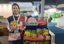 Ilustrasi Tren Real Food untuk Stapo.id