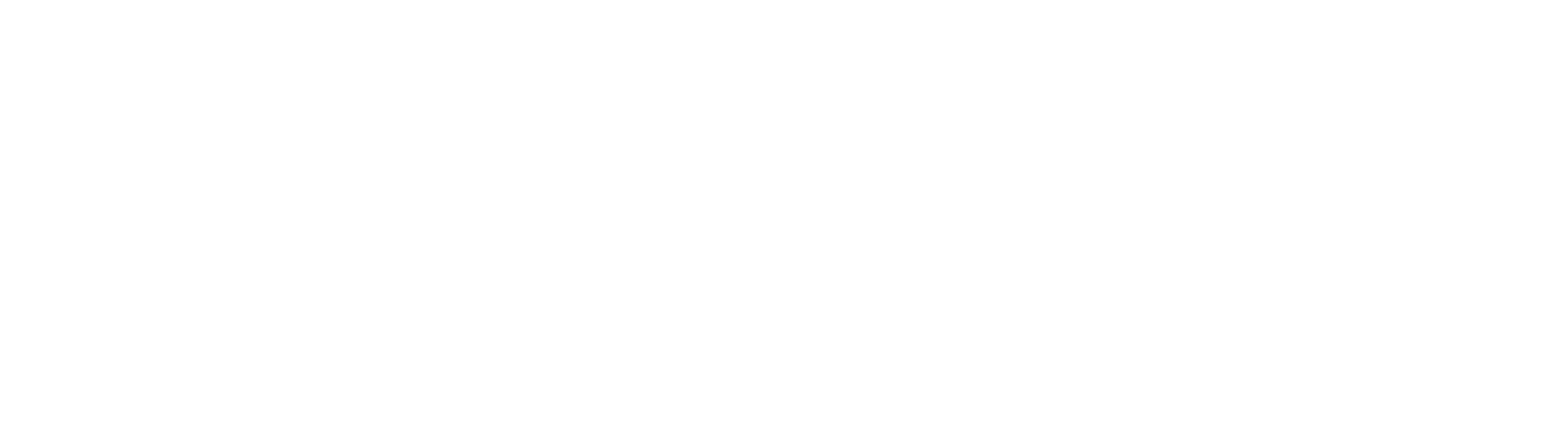 Stapo.id Logo