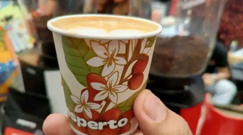 Ilustrasi kopi Javarona untuk Stapo.id
