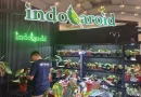 Ilustrasi Anthurium hybrid untuk Stapo.id