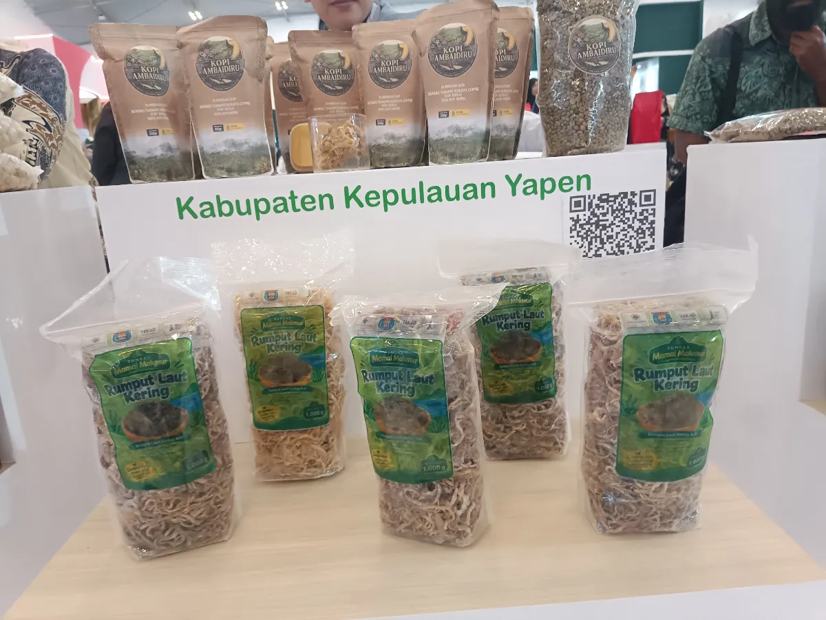 Ilustrasi Kopi Ambaidiru untuk Stapo.id