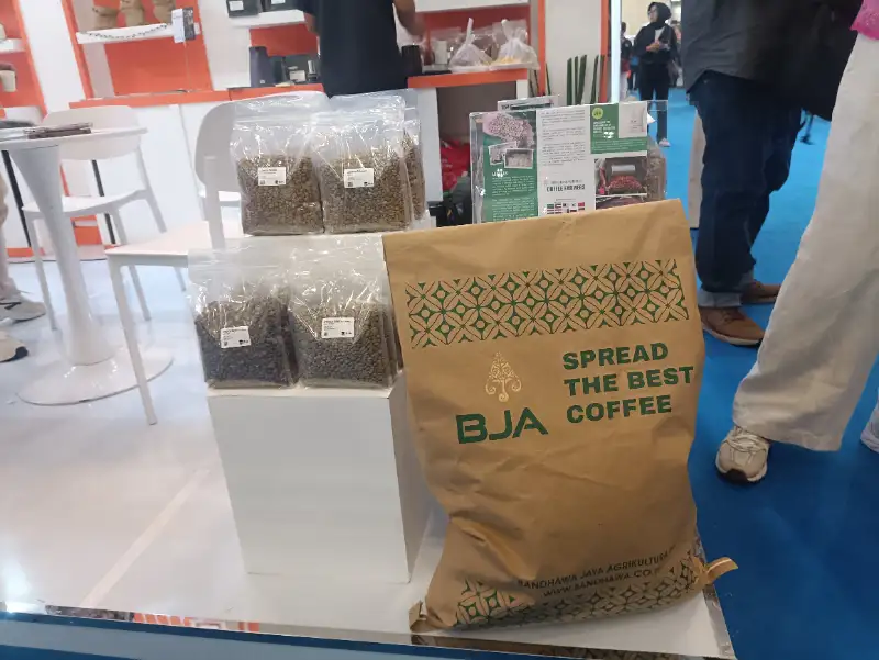 Ilustrasi Kopi Specialty untuk Stapo.id