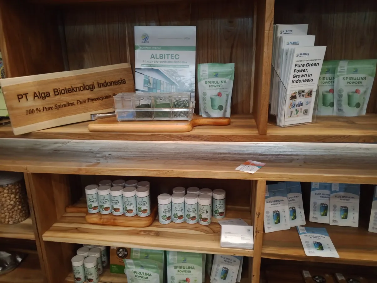 Ilustrasi spirulina lokal untuk Stapo.id