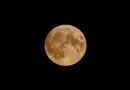 Ilustrasi pengamatan fenomena Hunter's Moon di langit malam